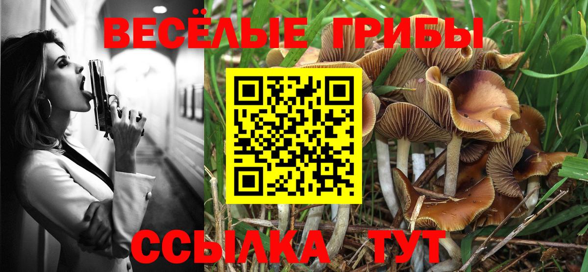 Геленджик  Галлюциногенные грибы Cubensis  Вход с VPN 